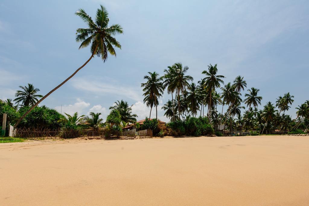 Blue Parrot Beach Villa Ambalangoda  Kültér fotó