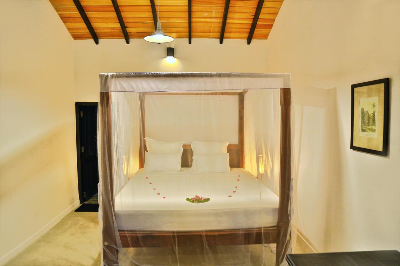 Blue Parrot Beach Villa Ambalangoda  Kültér fotó